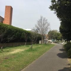 太尾堤緑道