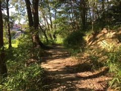 南が丘野鳥公園