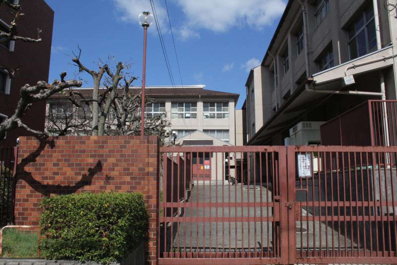 公の場での発言・インタビュー報道記録