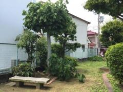 堺市第58－14号公共緑地