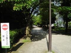 第14号百道2号緑道