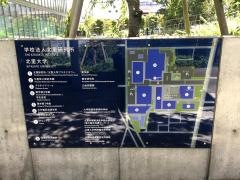 北里大学大学院
