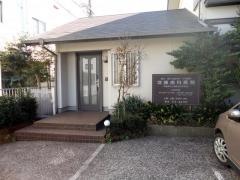 齋藤歯科医院