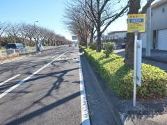 「新道丹木町」バス停留所