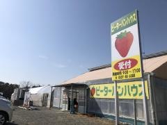 いちご狩り農園　ピーターパンハウス