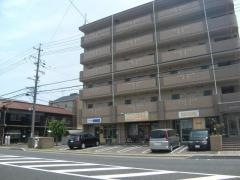 アルベロブル