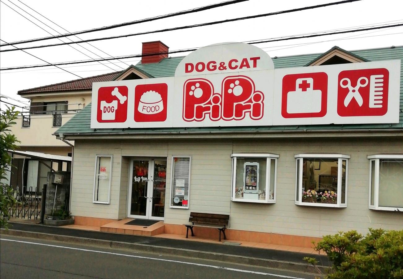 DOG&CAT PriPri
