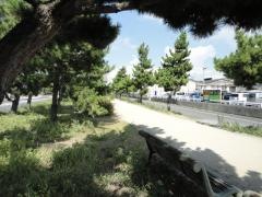 りんくう松原北緑地