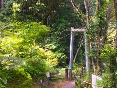 さえずりの森