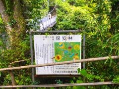 さえずりの森