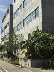 銘苅小学校