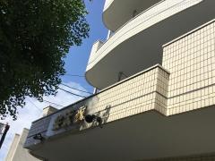 楽天家