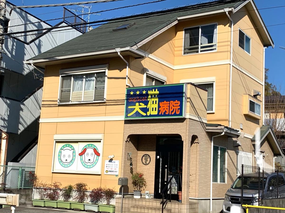 犬猫病院ライオン