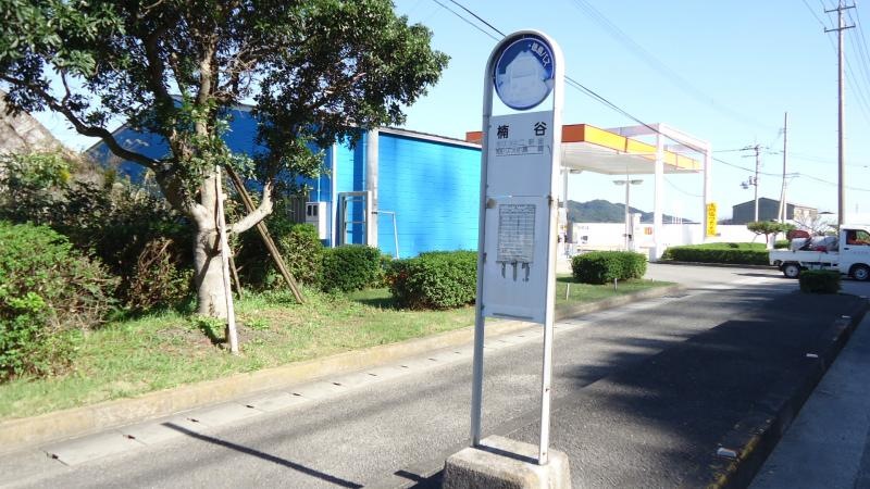 西から撮影