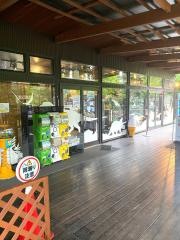 ディノアドベンチャー名古屋