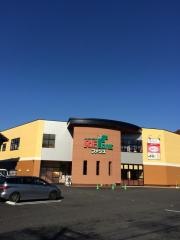 ファンズ中丁店