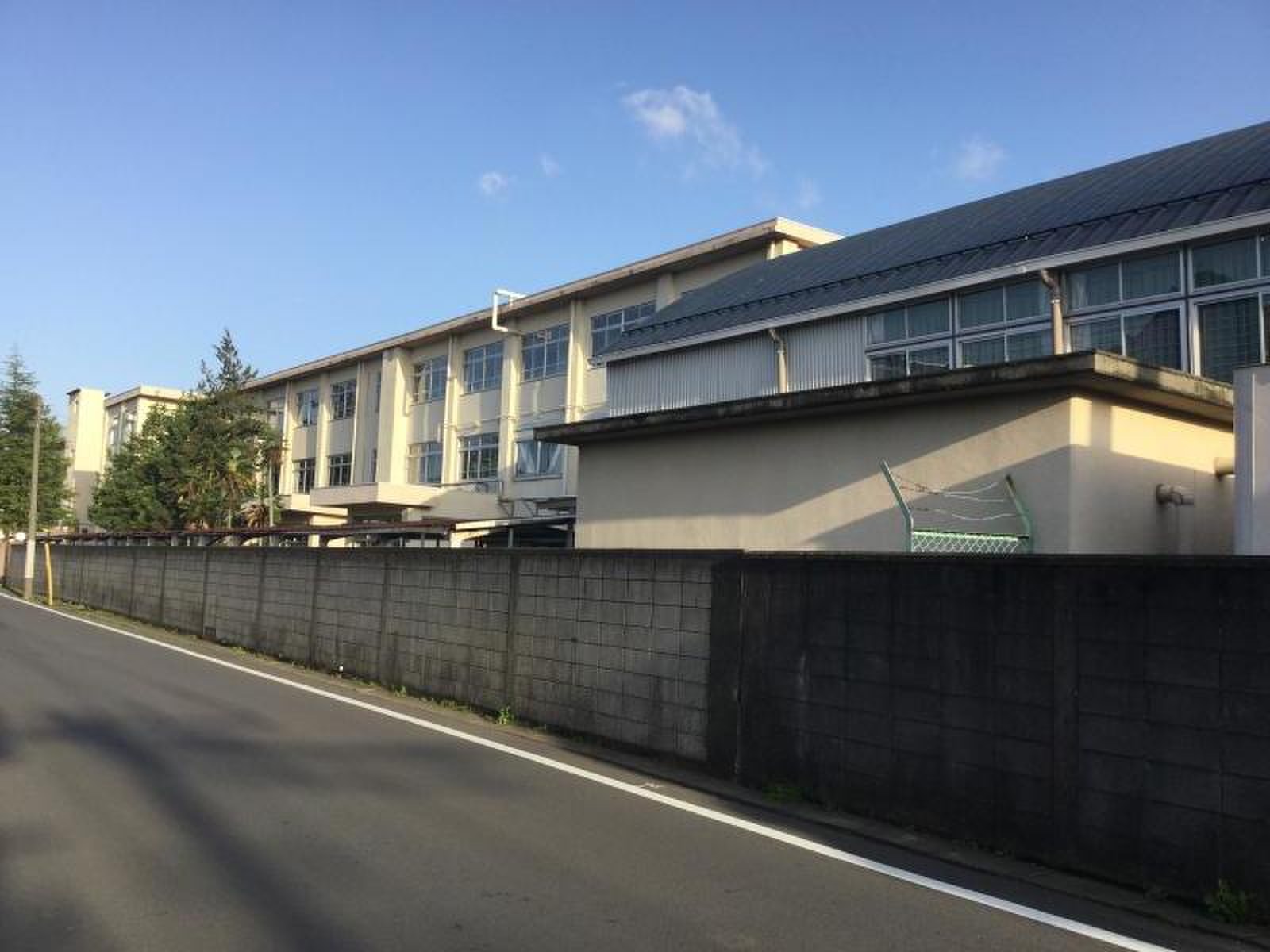 公の場での発言・インタビュー報道記録