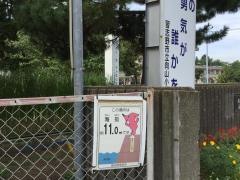 向山小学校