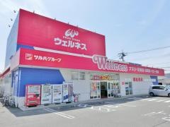 ドラッグストアウェルネス旗ケ崎店