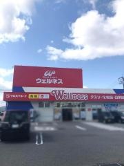 ドラッグストアウェルネス旗ケ崎店