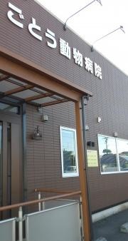 ごとう動物病院