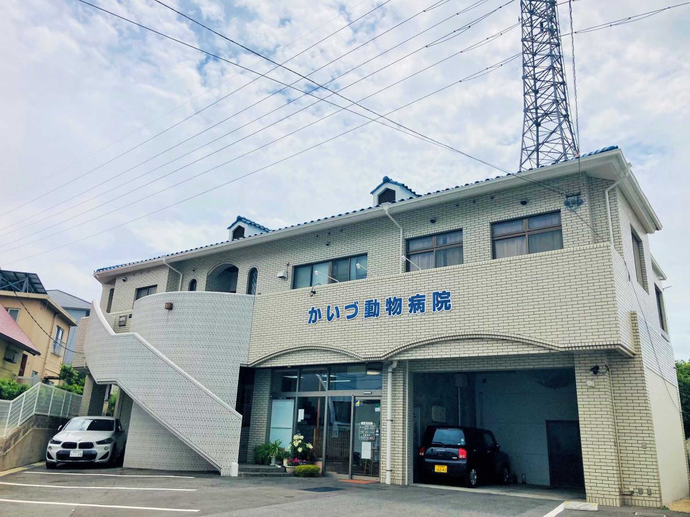 か いづ 動物 病院
