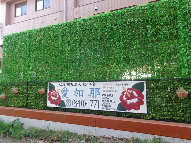 愛加那