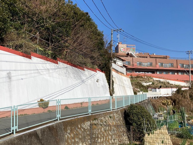 愛加那
