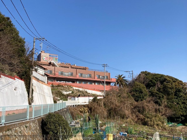 愛加那
