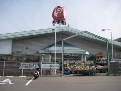 コメリハード＆グリーン　御嵩店