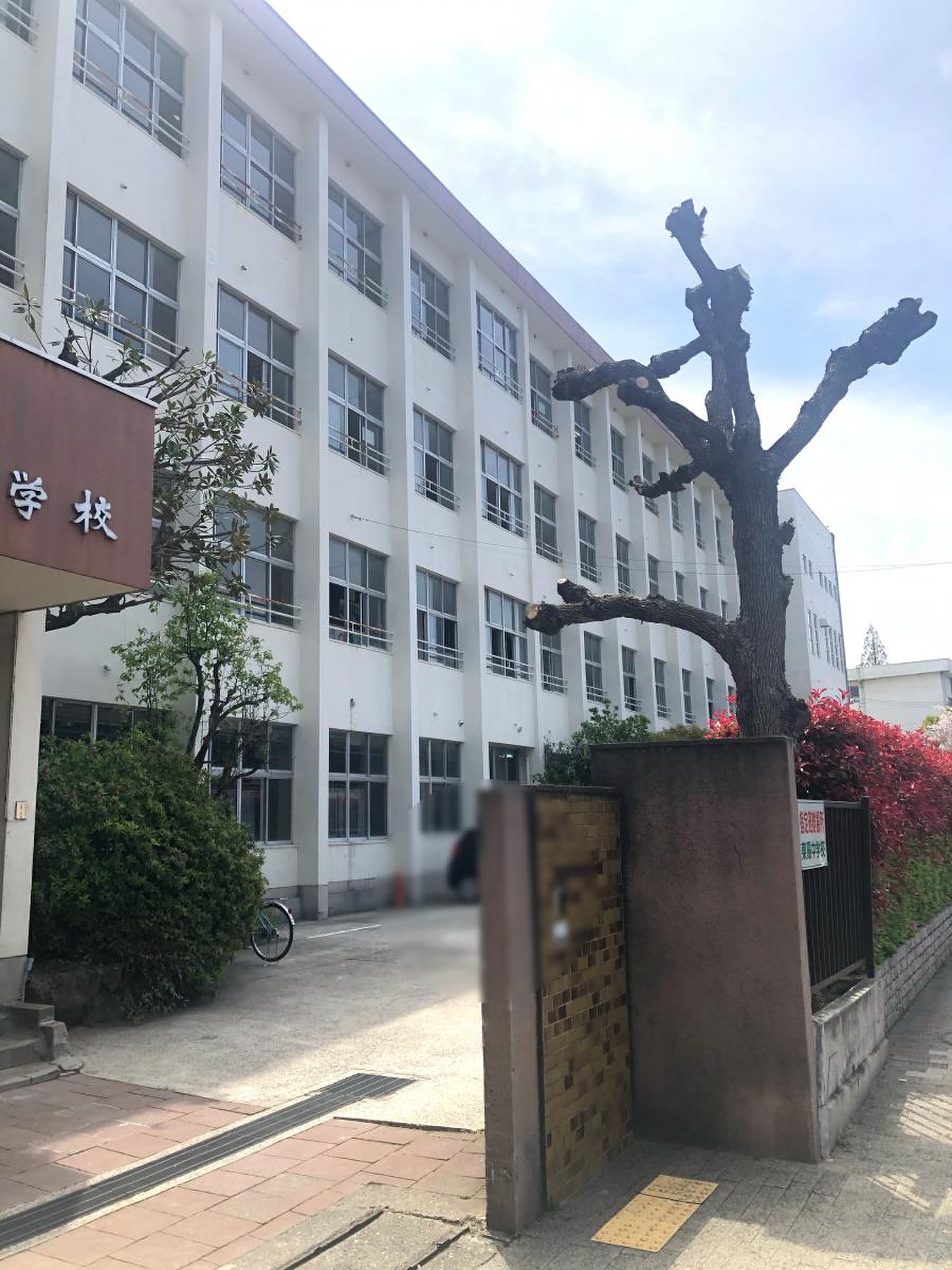 泉大津 市立 東陽 中学校