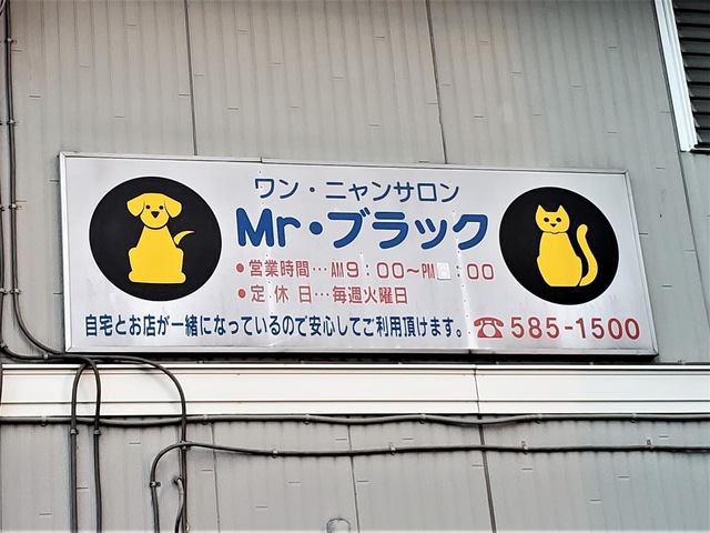 投稿写真5