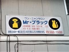 ミスターブラック