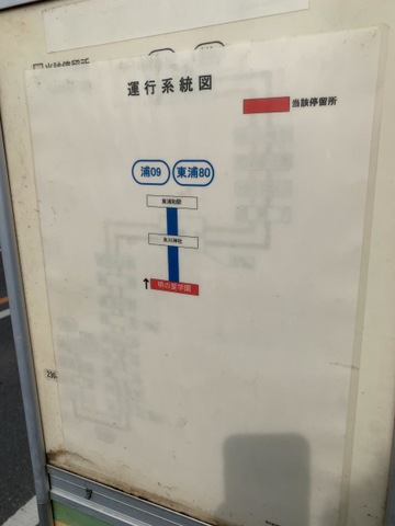 投稿写真4
