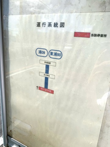 投稿写真1
