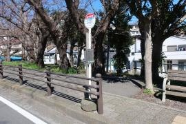 「総合体育会館」バス停留所