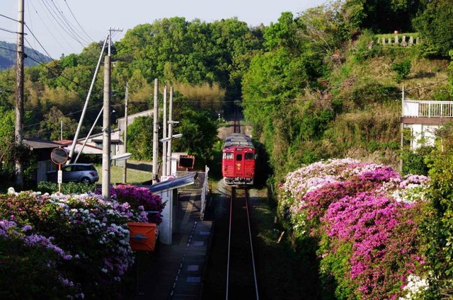 高野川駅