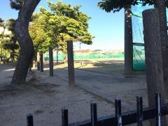 桃山小学校