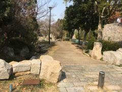 清玄町緑道