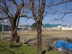 田野小学校