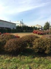 東邦チタニウム株式会社