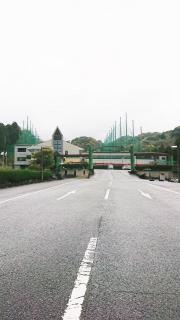 グリーン・コスモクラブ