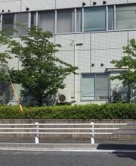 堀中病院