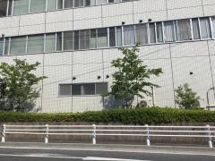堀中病院