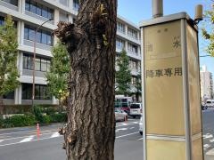 「清水」バス停留所