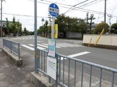 「白浜幼稚園前」バス停留所