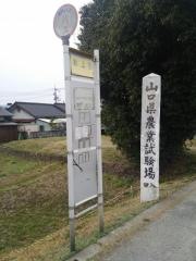 「氷上橋」バス停留所