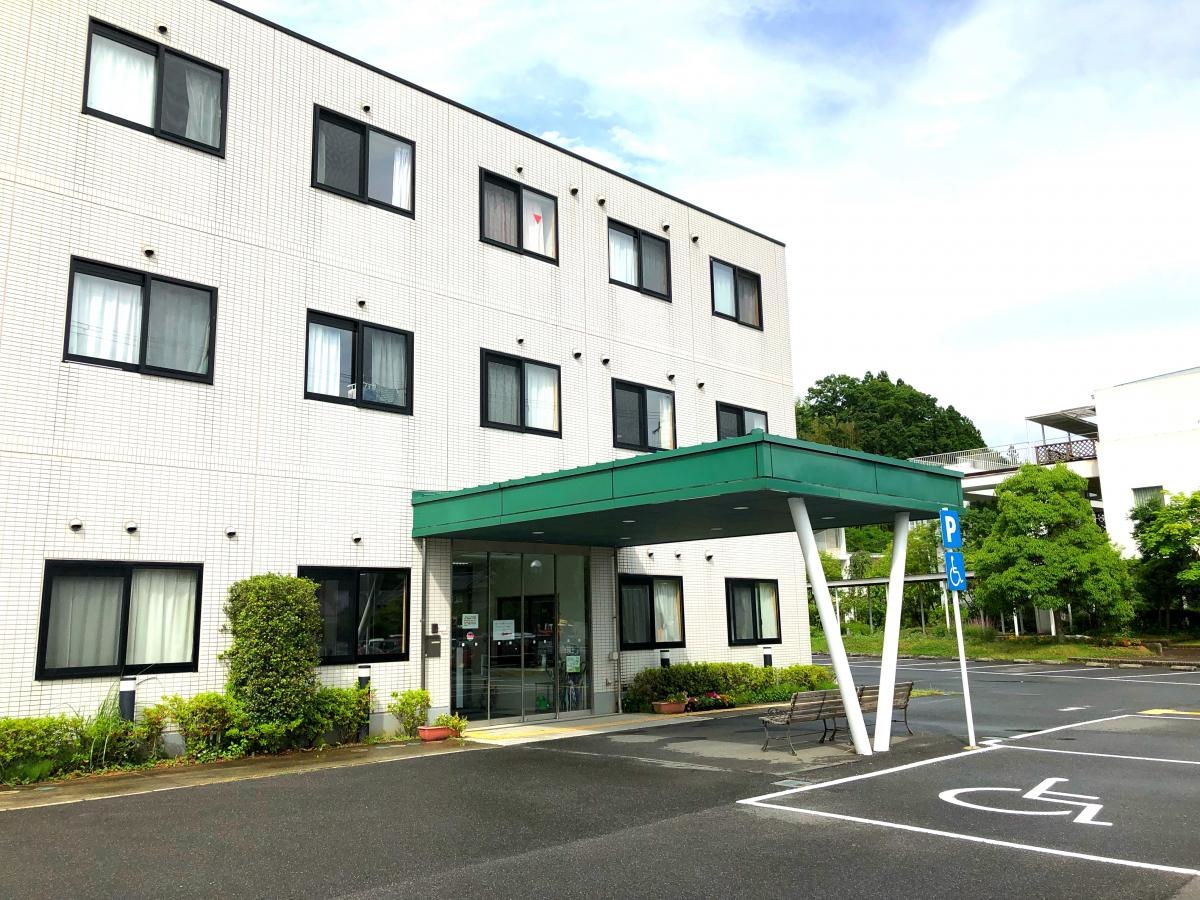 四つ葉のクローバー