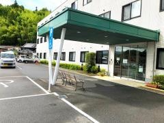 四つ葉のクローバー