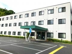 四つ葉のクローバー